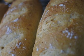 フランスパンが美味しそう