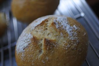 焼き立てのパン