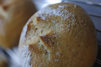 美味しそうなパンだったので写真を撮りました。