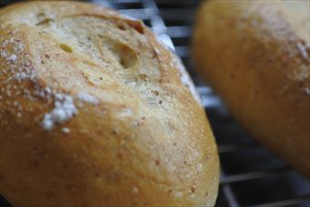 焼き立てのパンがいい香り