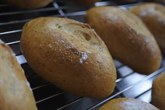 今日はどのパンにしようかな