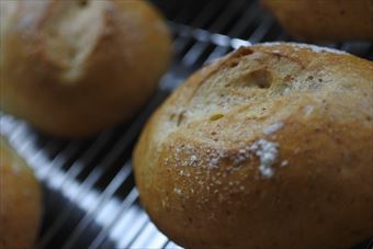 パンが美味しそう