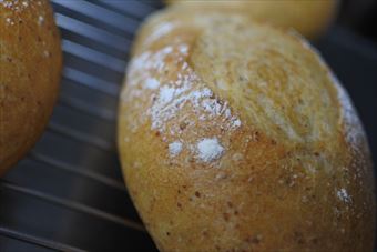 美味しそうなパン