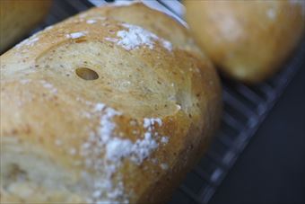 フランスパン。焼き立てのいい香り