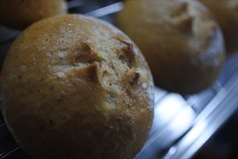 ある日の朝。焼き立てのパン