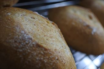 フランスパンが焼き立てです