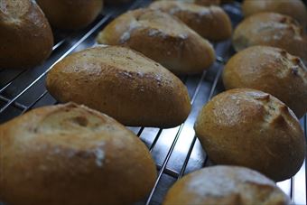 このパン屋美味しいの