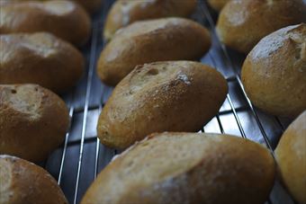 ずらりと並んだ焼き立てブレッド