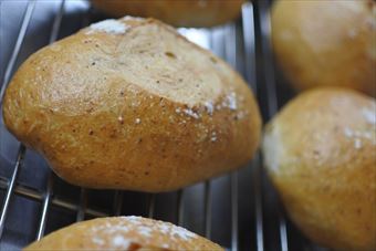 焼き立てのパンたち