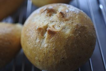 丸いパンの写真