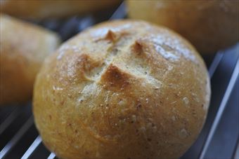 パン屋さんで見かけました