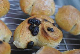 レーズンパンの焼き上がり