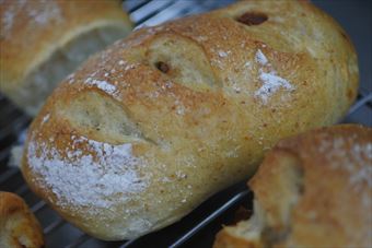 クープの入ったパン