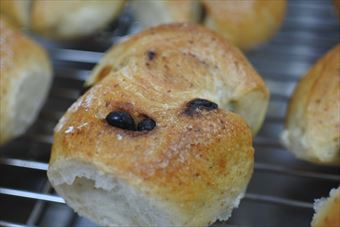 パン屋さんにレーズンパンがありました