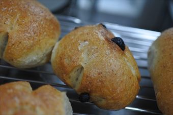 レーズンパンが焼きあがりました