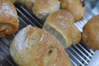 焼きあがったばかりのパン