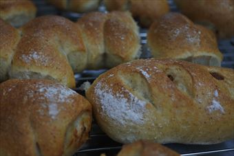 美味そうなパン