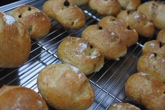 レーズンパンを並べてみた