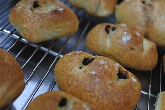 小さなパンが並んでいる