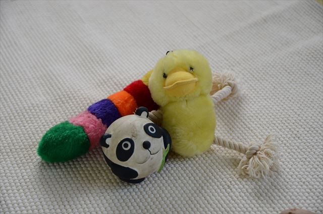 カラフル おもちゃ