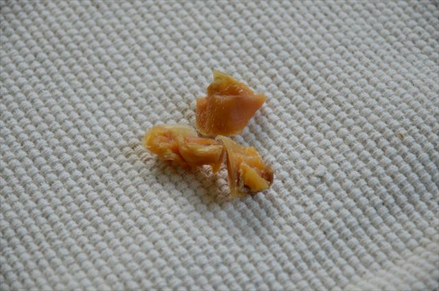 犬のおやつ ひずめ