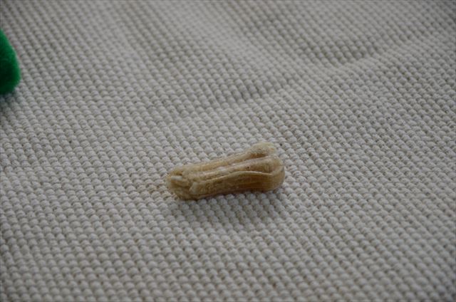 犬のおやつ ガム 噛むおもちゃ