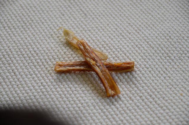 犬のおやつ 馬のアキレス腱