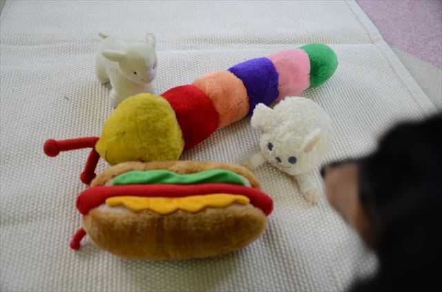 犬 ホットドック いも虫 羊