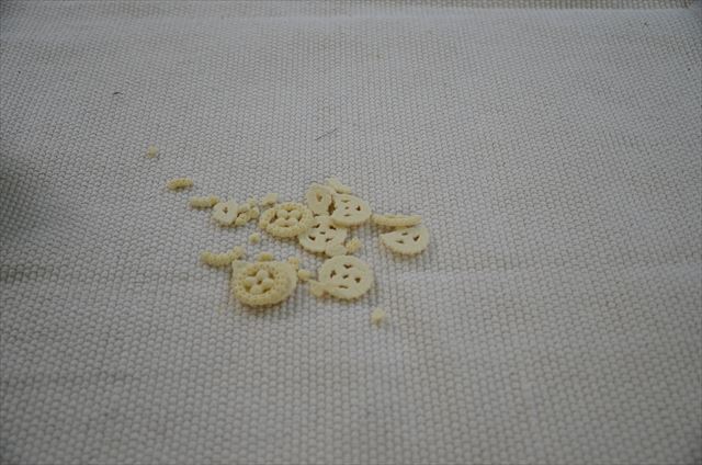 犬のおやつ クッキー