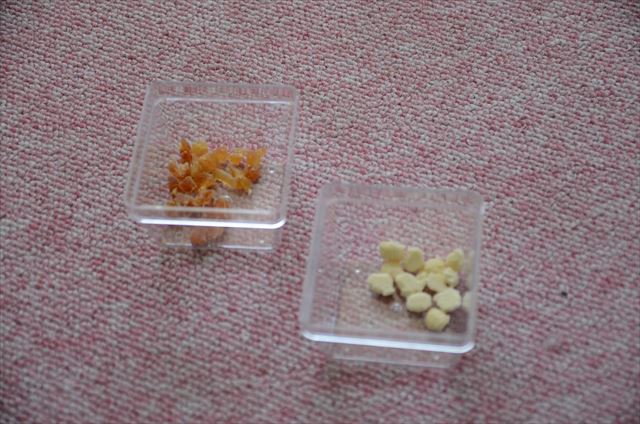 犬 おやつ ひと口 切ってある