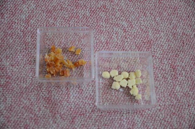 ピンクのじゅうたん カーペット ペットのえさ