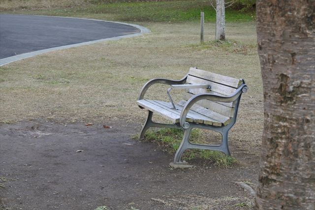 ベンチ 公園 淋しい 孤独 寂しい 秋