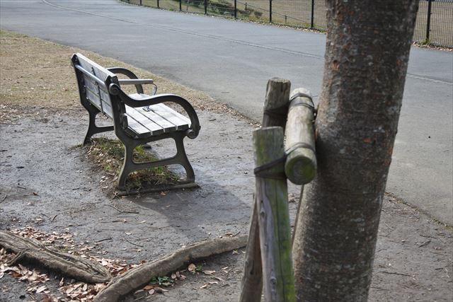 公園 ベンチ 孤独 寂しい 淋しい 落ち葉 枯れ葉 秋
