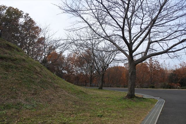 紅葉 公園 秋 歩道