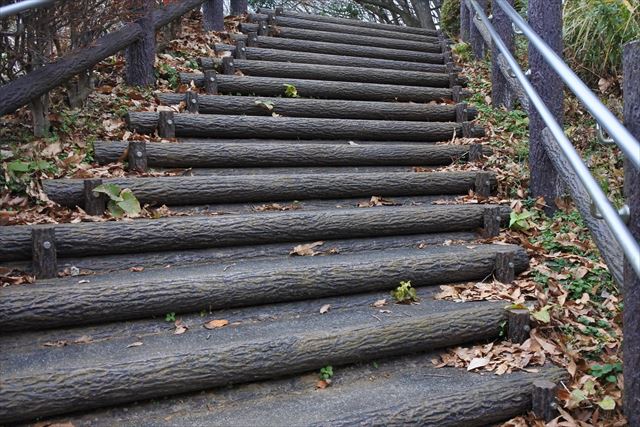 階段 公園 落ち葉 枯れ葉 曇り 上り坂 