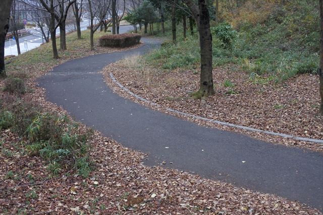 公園 道 落ち葉 枯れ葉 散歩 曇り 寂しい 孤独 寒い 冬