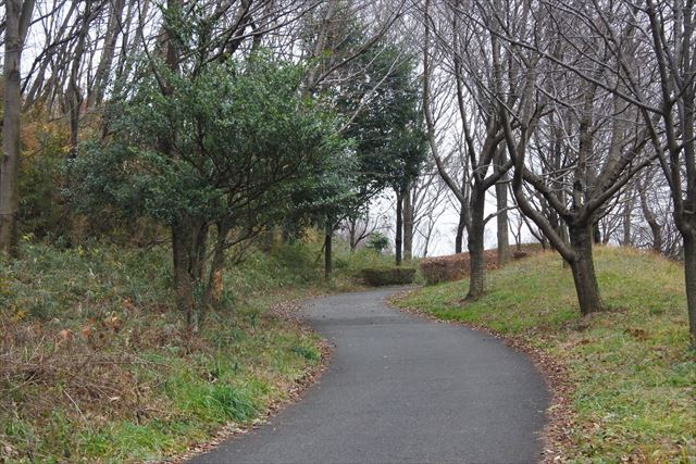 冬 公園 散歩 曇り 寂しい 孤独 道