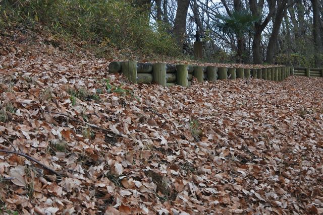 落ち葉 枯れ葉 公園 森林 遊歩道 冬 秋