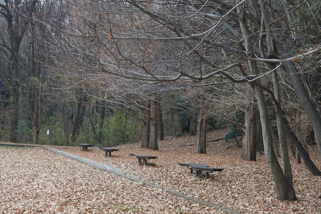 森林 公園 ベンチ 落ち葉 枯れ葉 秋 冬 寂しい 孤独