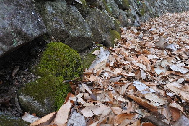 石垣 藻 古い 落ち葉 枯れ葉 秋 冬