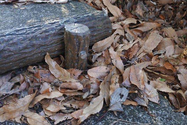 階段 落ち葉 枯れ葉 吹き溜まり 秋 冬 寒い