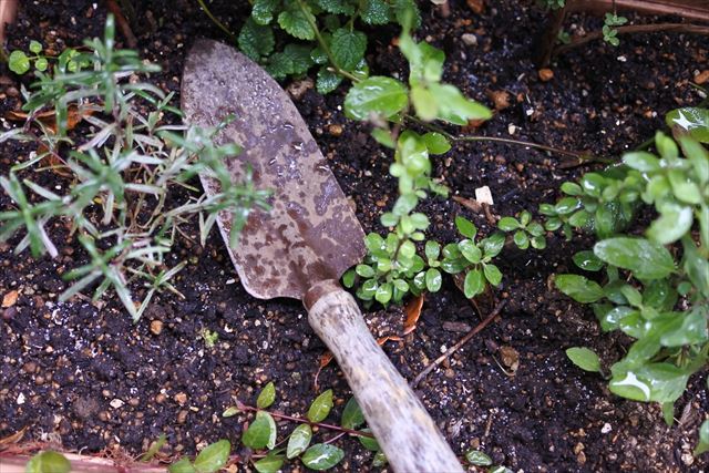 スコップ 使い古された ハーブ ガーデニング