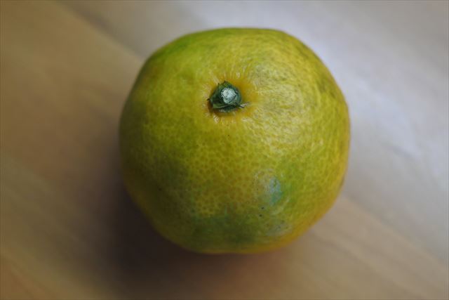 みかん フルーツ 黄色 秋 果物