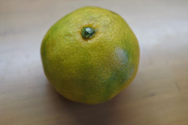 みかん 果物 黄色 冬