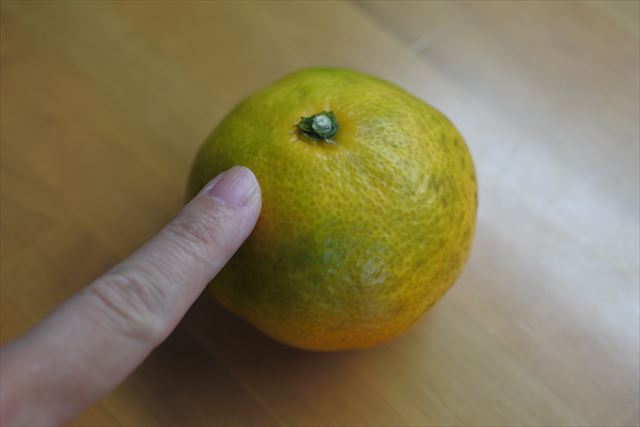 みかん 黄色 果物 手 冬 持つ