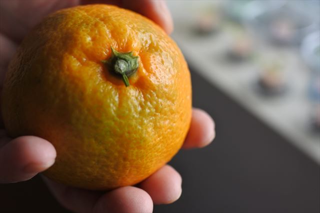 蜜柑 取り立て 黄色 ミカン