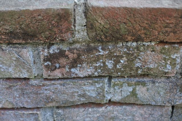 煉瓦 公園 レンガ 花壇 古い 歴史 汚い