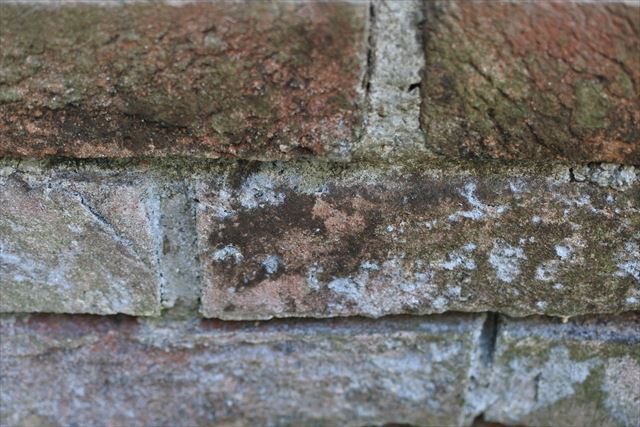 煉瓦 レンガ 公園 花壇 古い 歴史 汚い