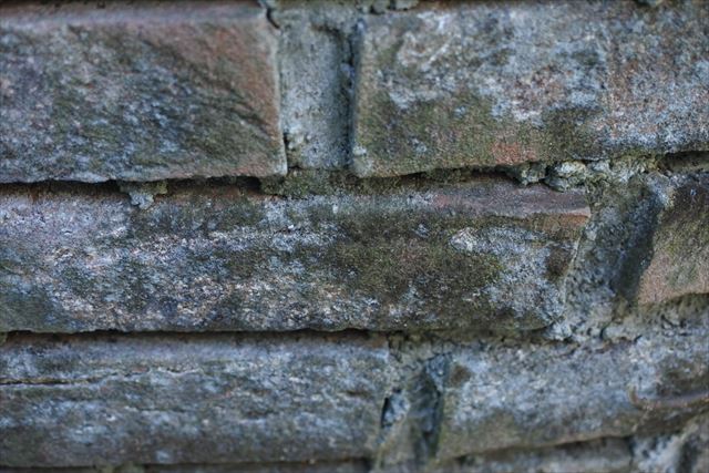 レンガ 花壇 古い 汚れ コンクリ