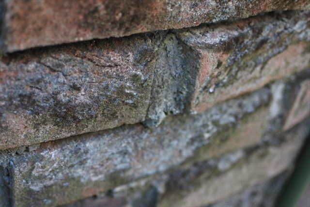 花壇 レンガ 古い 汚れ